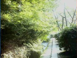 12tetsugakunoichi2.jpg (14429 �o�C�g)