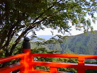 kuramahiei.jpg (22056 �o�C�g)