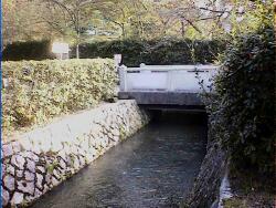 nyakuojihashi.jpg (15159 �o�C�g)